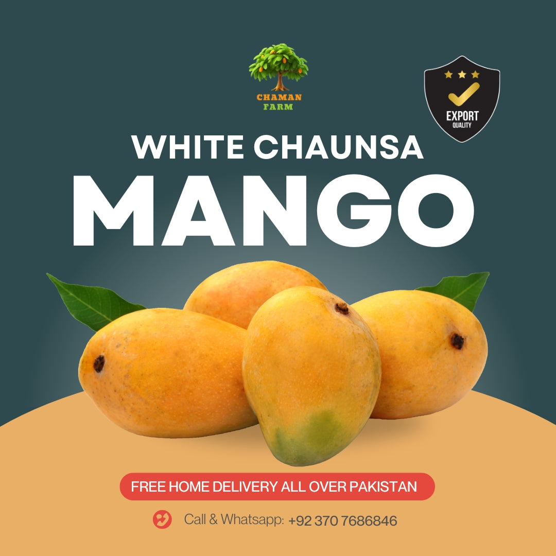 Chaunsa Mangoes